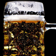 Illustration for article titled There's No Such Thing as Safe Alcohol Consumption, Huge New Study Finds